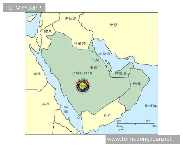 阿联酋与巴林历史交锋战绩详解及未来展望分析