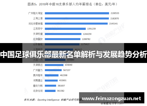 中国足球俱乐部最新名单解析与发展趋势分析