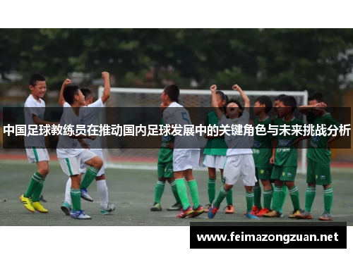 中国足球教练员在推动国内足球发展中的关键角色与未来挑战分析