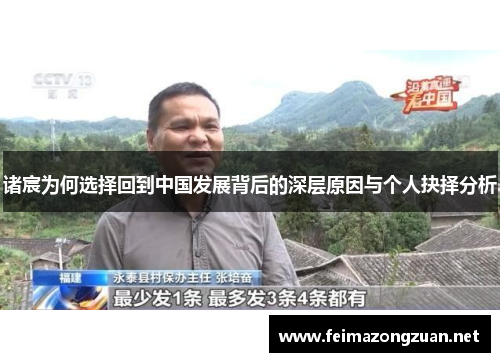 诸宸为何选择回到中国发展背后的深层原因与个人抉择分析